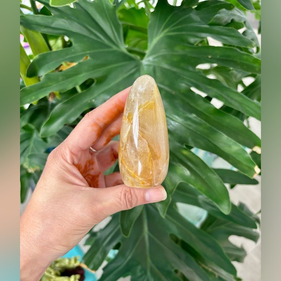 Golden Healer Freeform - Picture 6 of 7